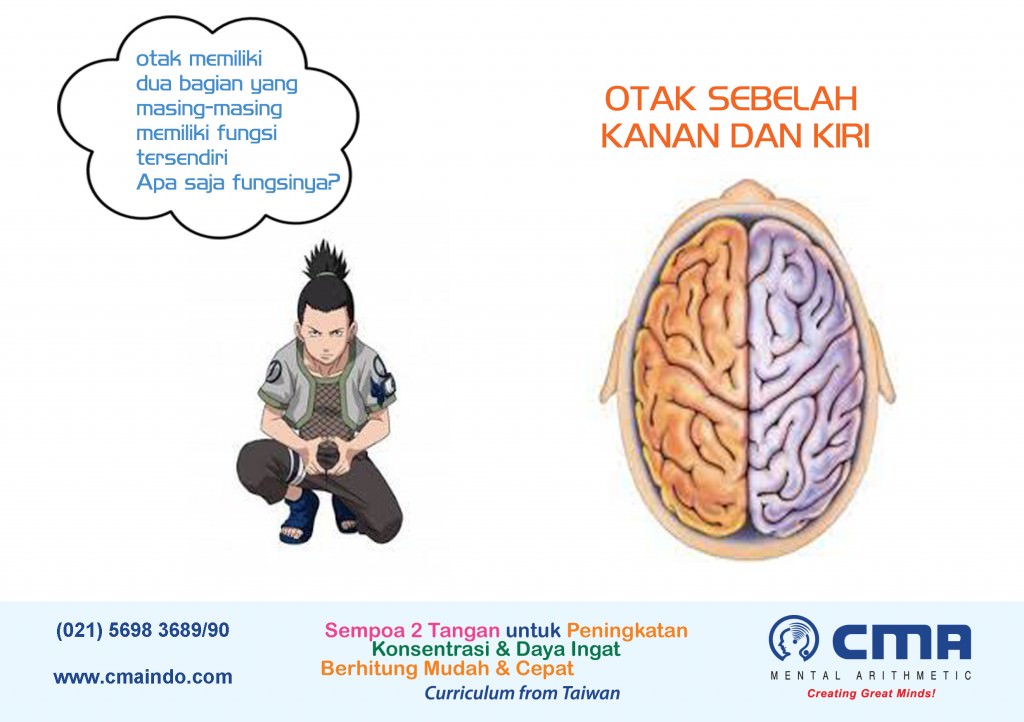 otak