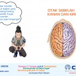 fungsi otak kanan dan kiri